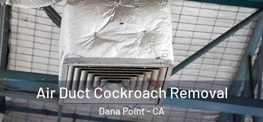 Air Duct Cockroach Removal Dana Point - CA