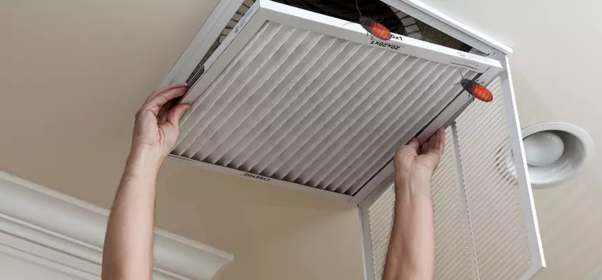 Preventive Cockroach-Proofing for Ducts in Dana Point