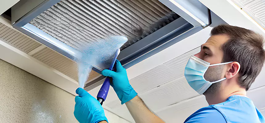 Proactive Dryer Vent & Auxiliary Duct Pollen Cleanup in Dana Point, CA