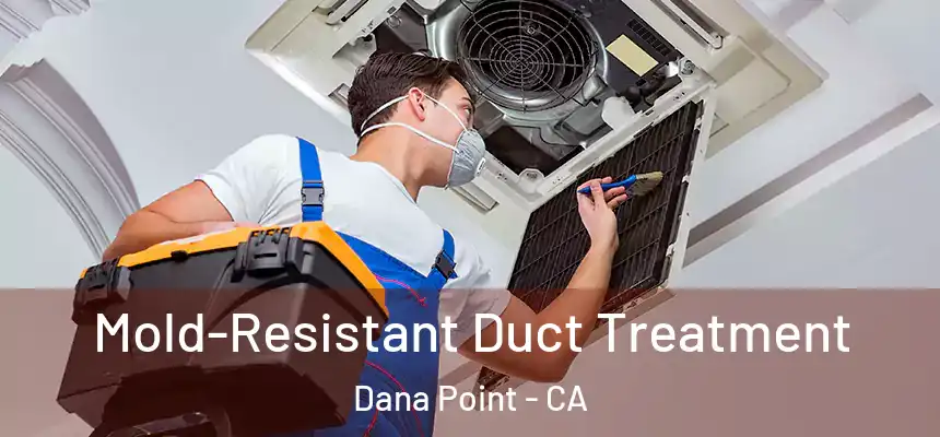  Mold-Resistant Duct Treatment Dana Point - CA
