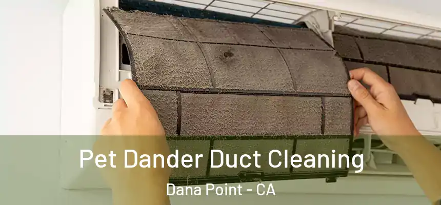 Pet Dander Duct Cleaning Dana Point - CA