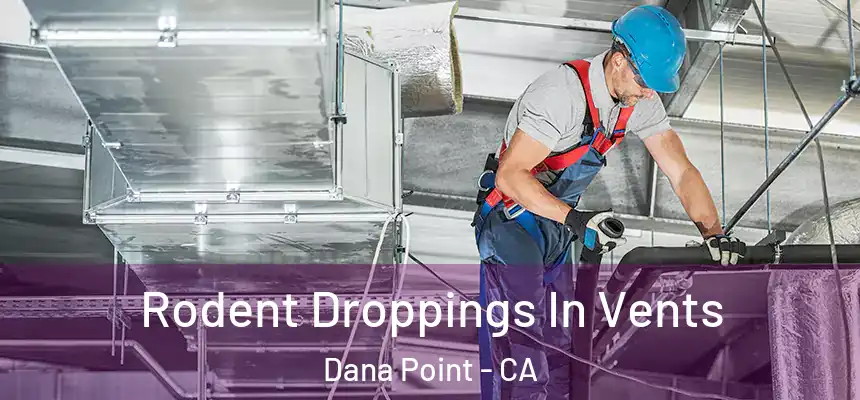 Rodent Droppings In Vents Dana Point - CA