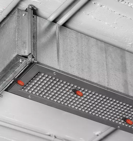 About Air Duct Cockroach Removal in Dana Point, CA