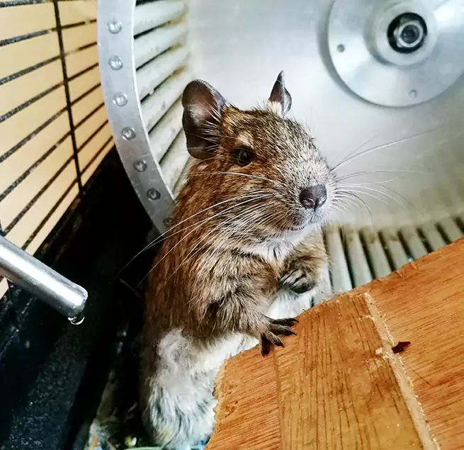 Why Homeowners & Businesses Trust Us Dana Point, CA