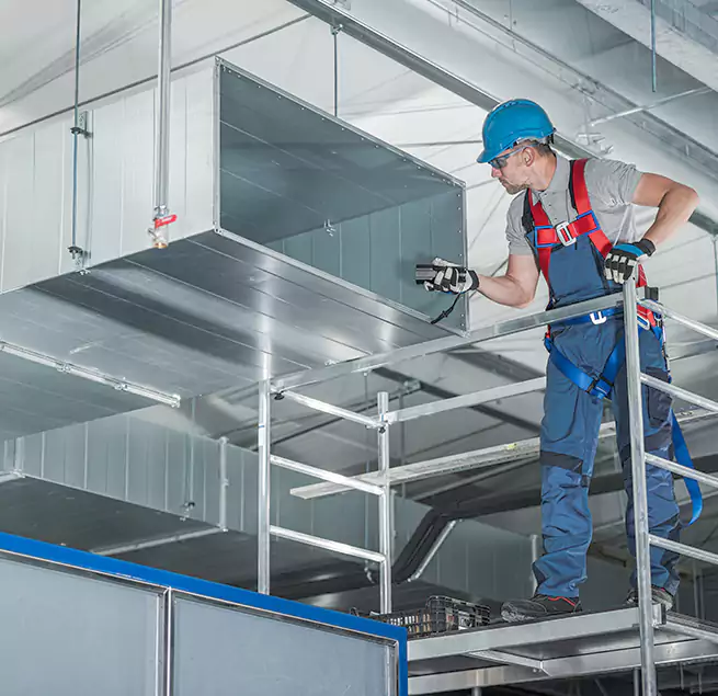 Why Homeowners & Businesses Trust Us in Dana Point, CA?