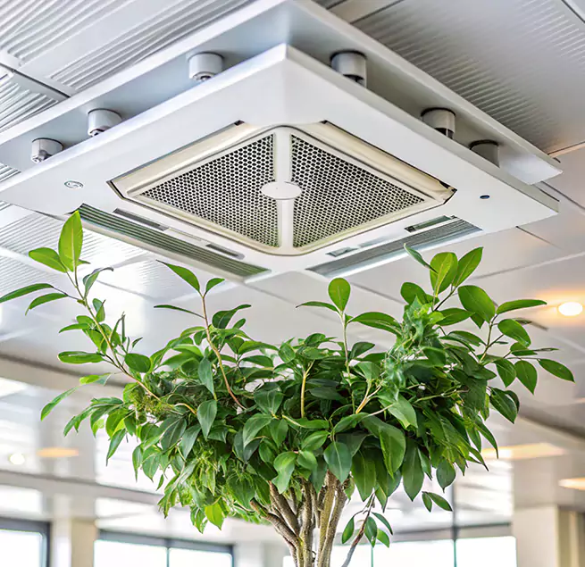 Why Homeowners & Businesses Trust Us in Dana Point, CA?