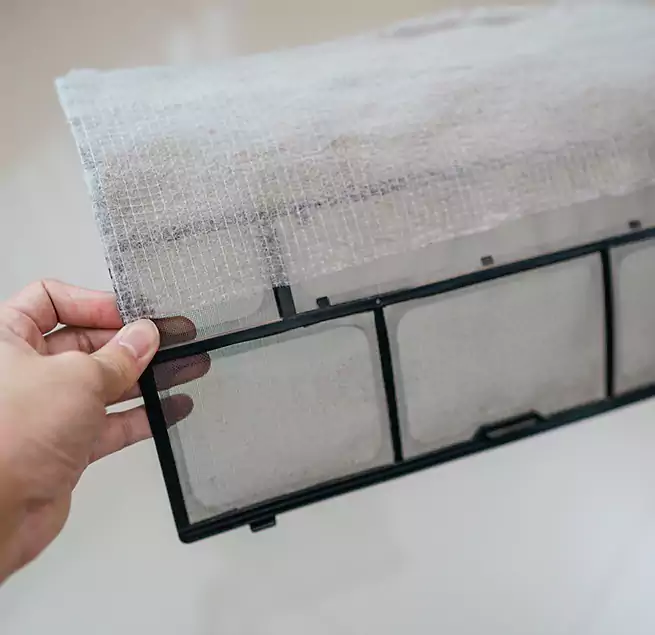 Why Homeowners & Businesses Trust Us in Dana Point, CA?