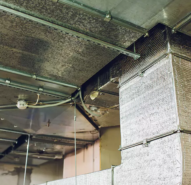 Why Homeowners & Businesses Trust Us in Dana Point, CA?