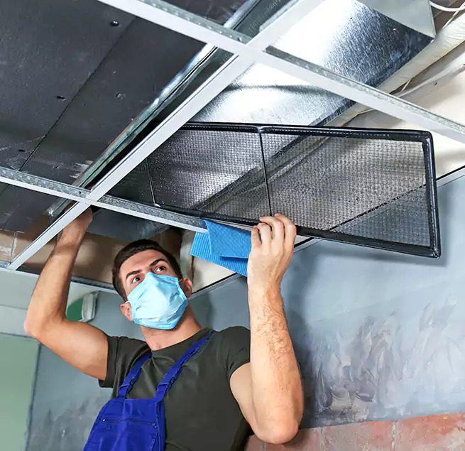 Why Homeowners Businesses Trust Us in Dana Point, CA