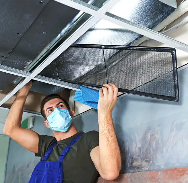 Why Homeowners & Businesses Trust Us in Dana Point, CA?